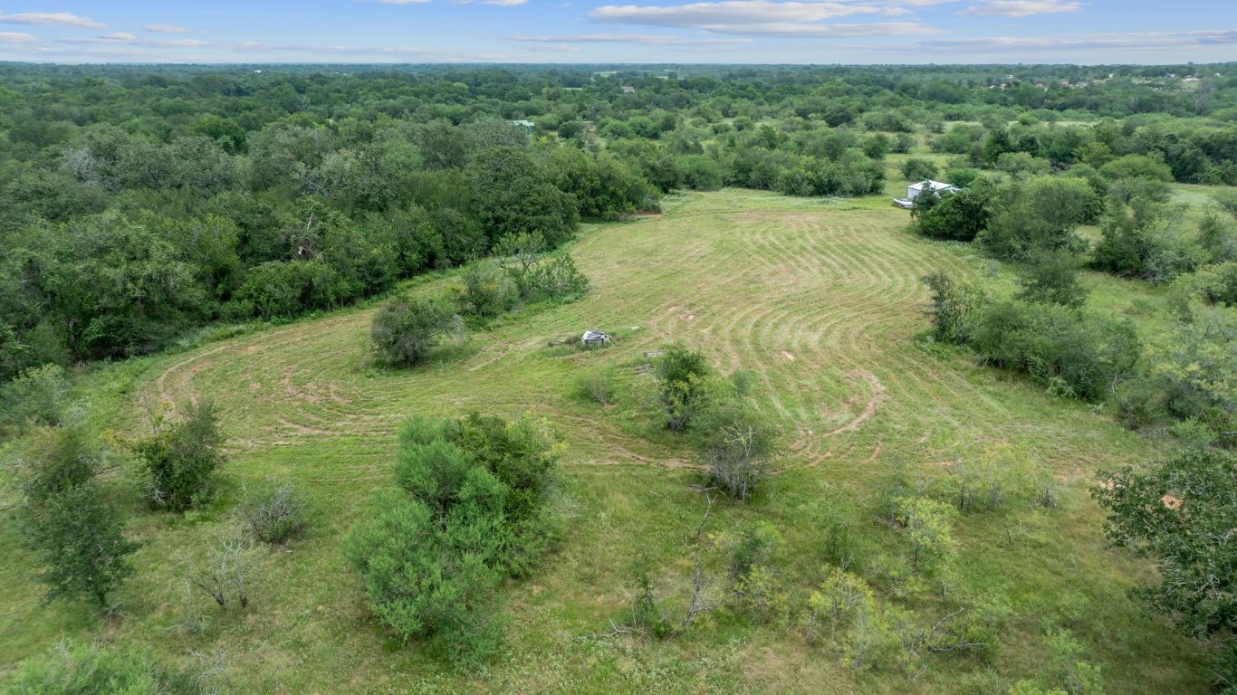3597 Baker Road Kingsbury, TX 78638 - Photo 10 of 39 a view of a lush green forest with lots of trees