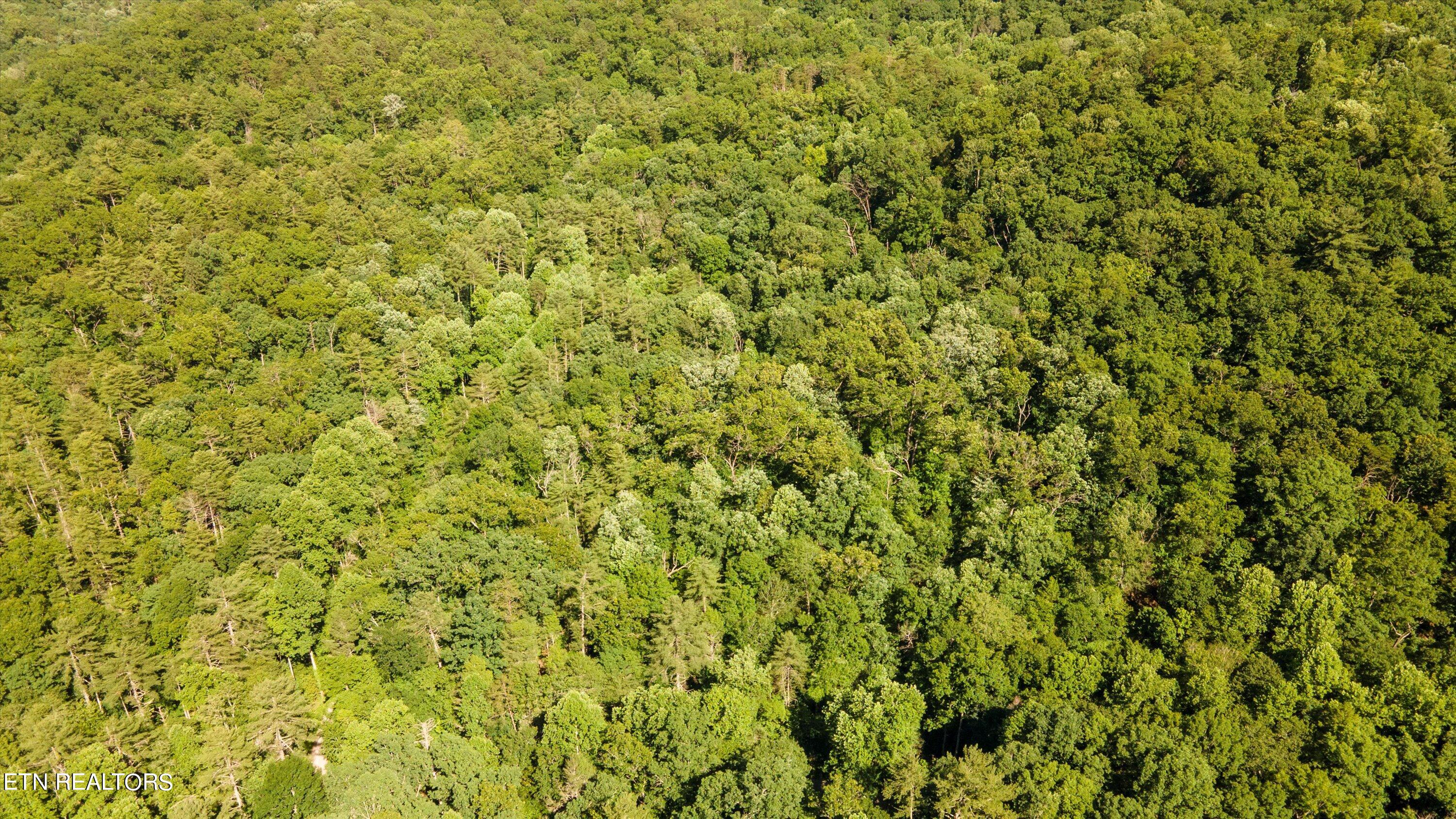 1919 Walnut Flats Road Walland, TN 37886 - Photo 1 of 12 06-1919 Walnut Flats Rd-01