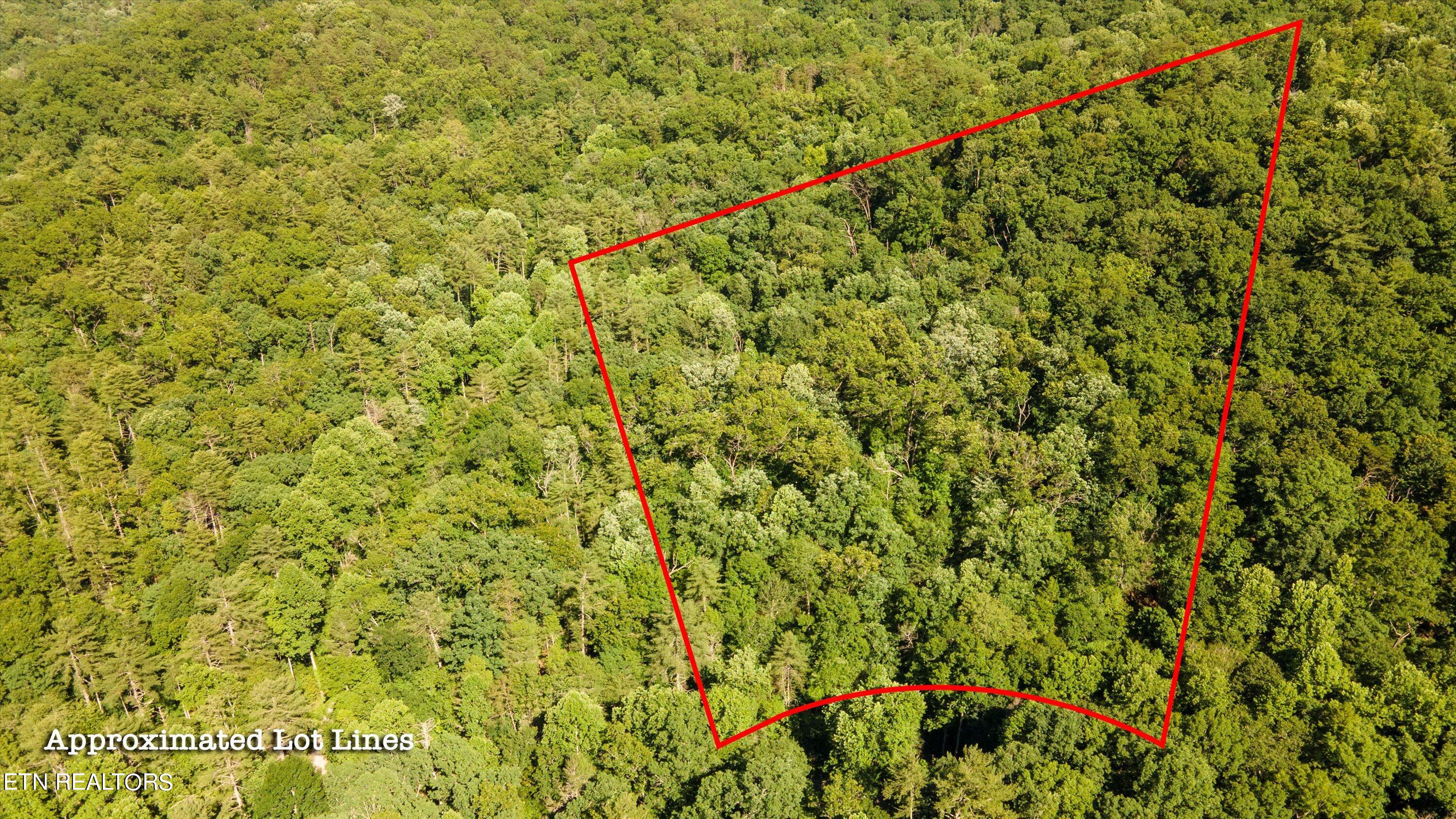1919 Walnut Flats Road Walland, TN 37886 - Photo 2 of 12 05-1919 Walnut Flats Rd-01