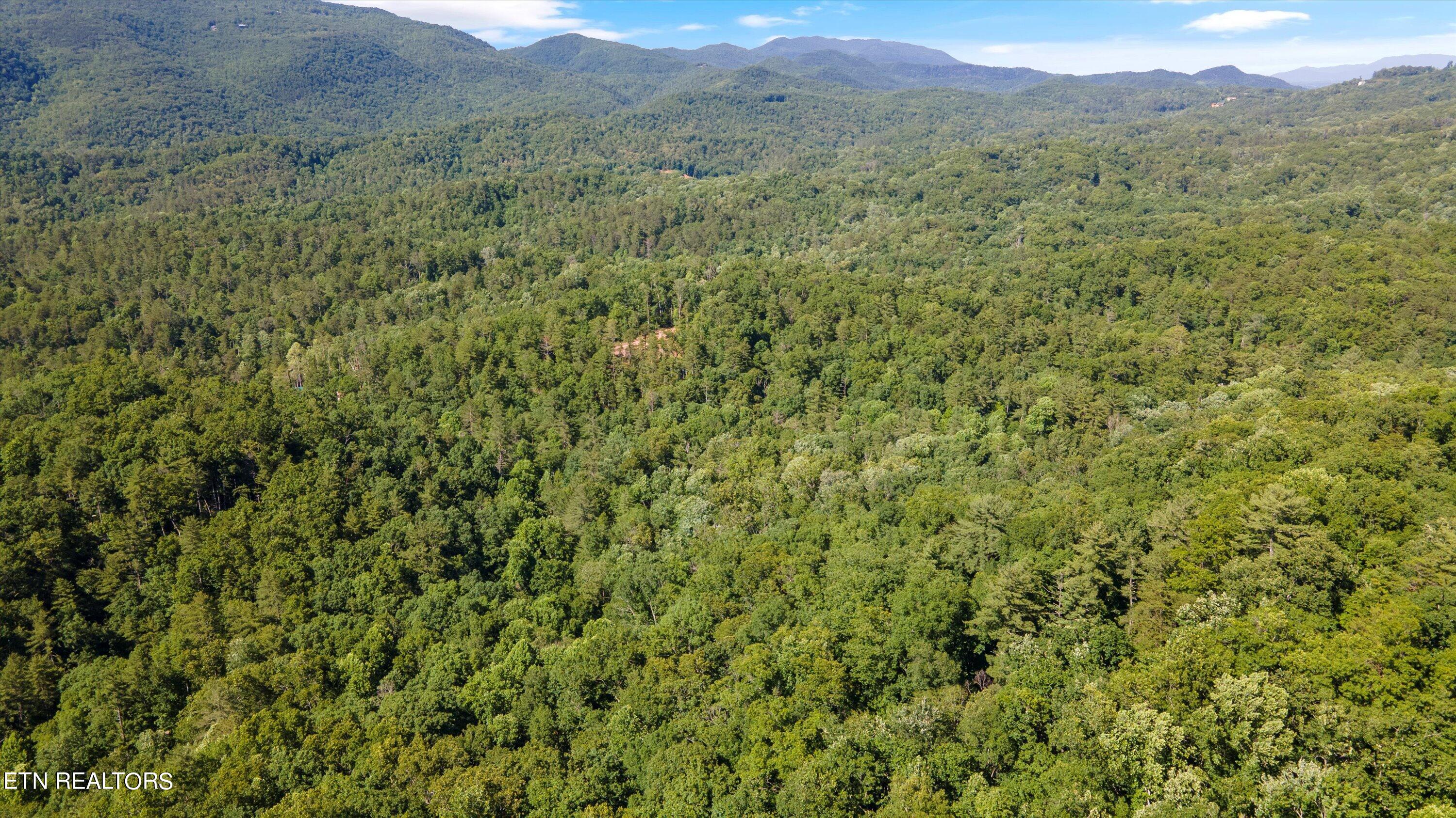 1919 Walnut Flats Road Walland, TN 37886 - Photo 8 of 12 08-1919 Walnut Flats Rd-03