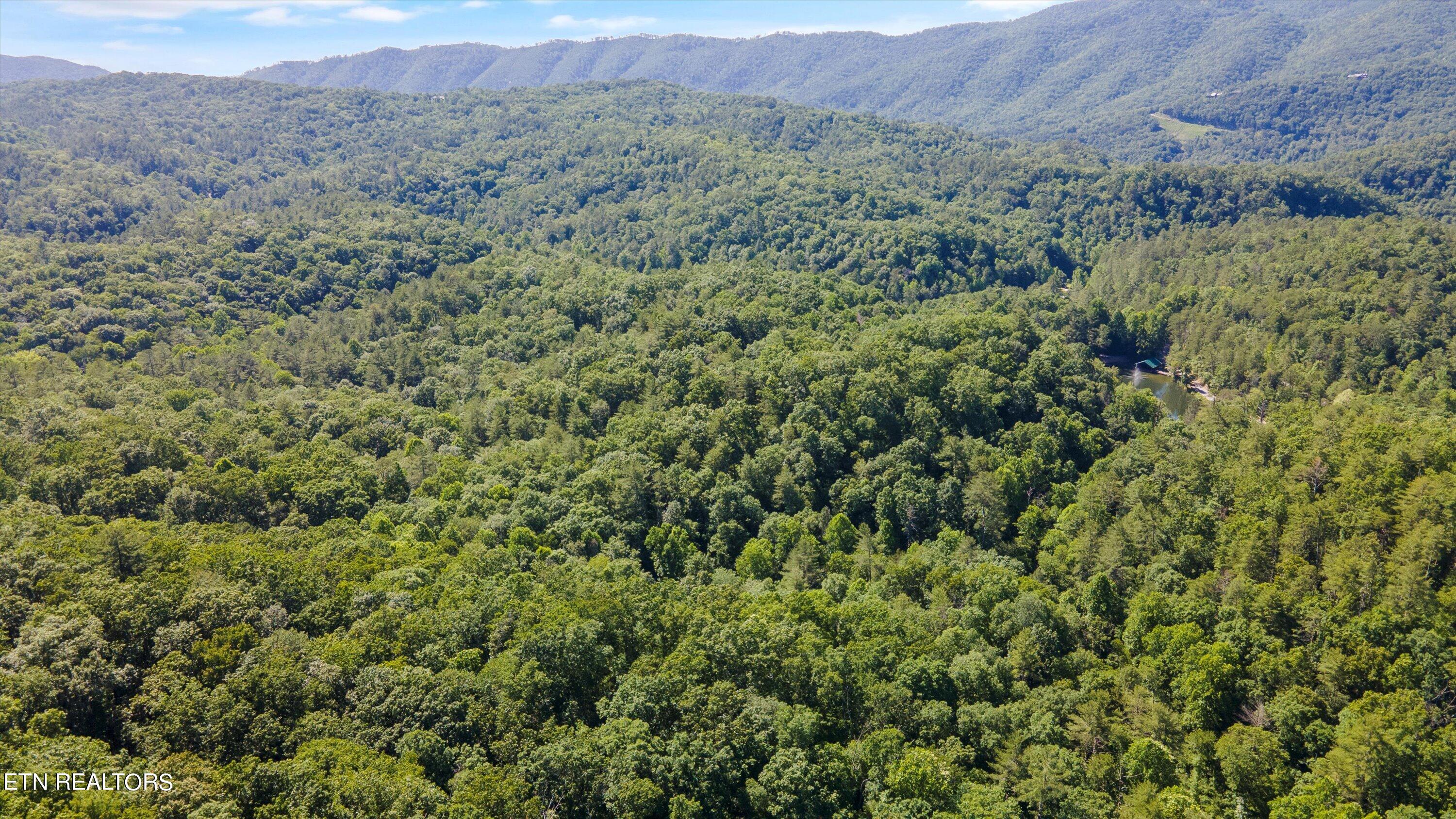 1919 Walnut Flats Road Walland, TN 37886 - Photo 10 of 12 10-1919 Walnut Flats Rd-05
