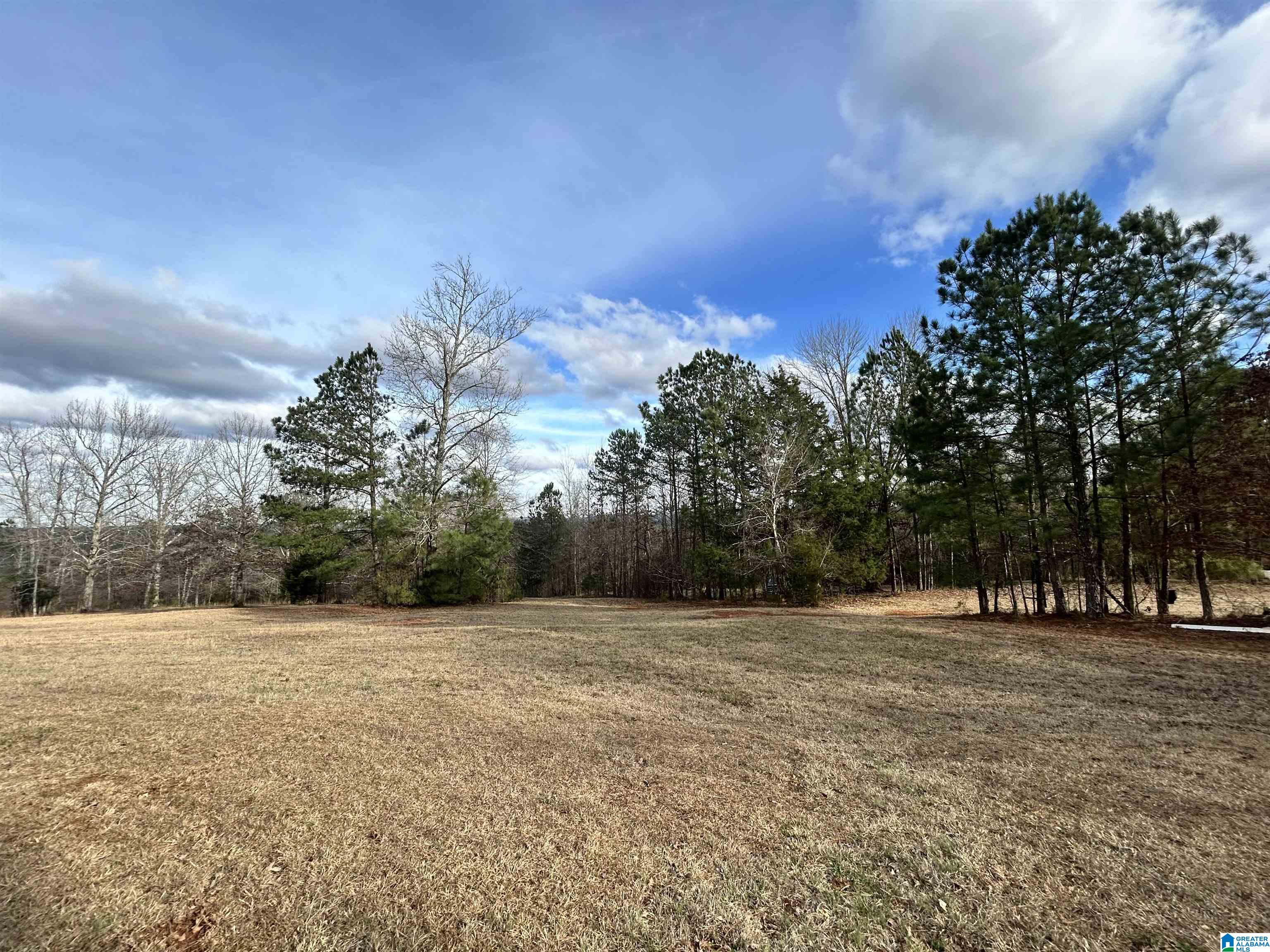 1332 Blackjack Road Trussville, AL 35173 - Photo 5 of 5