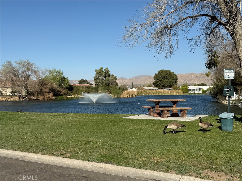 20683 Waalew Road, Unit B37 Apple Valley, CA 92307 - Photo 23 of 24 a backyard of a house with lots of green space
