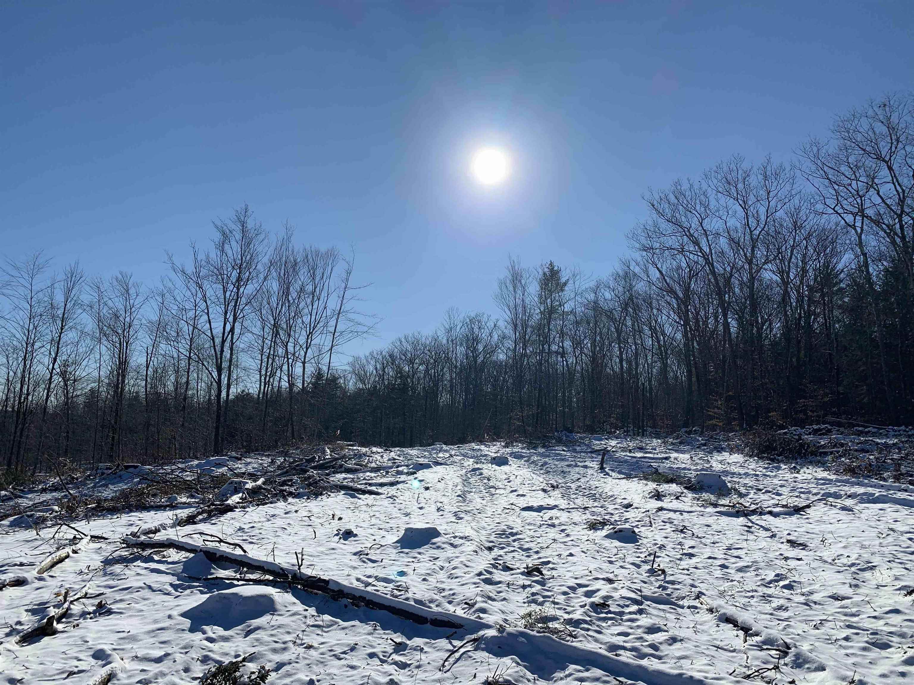 0 Tully Brook Road Richmond, NH 03470 - Photo 12 of 36