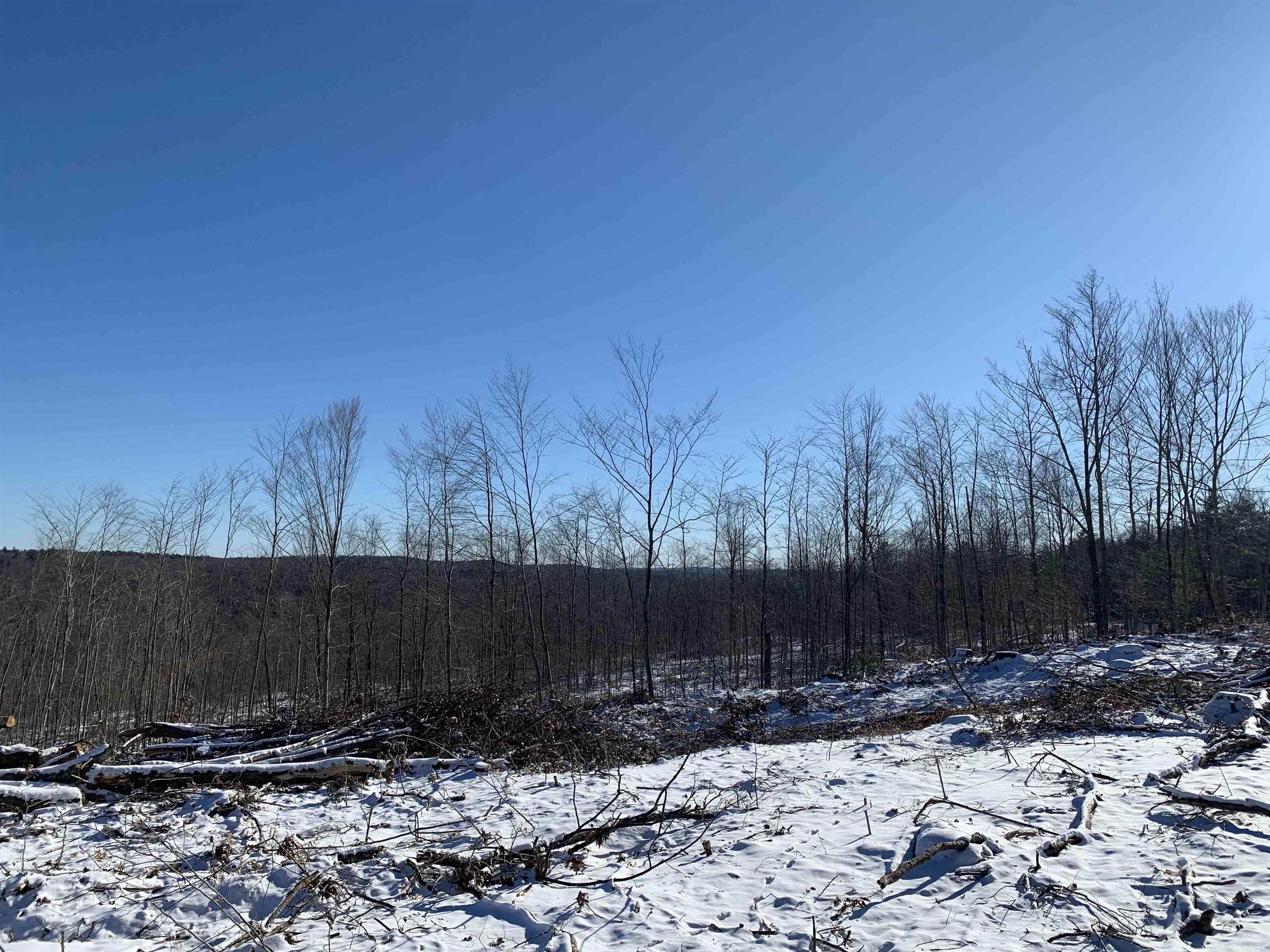 0 Tully Brook Road Richmond, NH 03470 - Photo 14 of 36