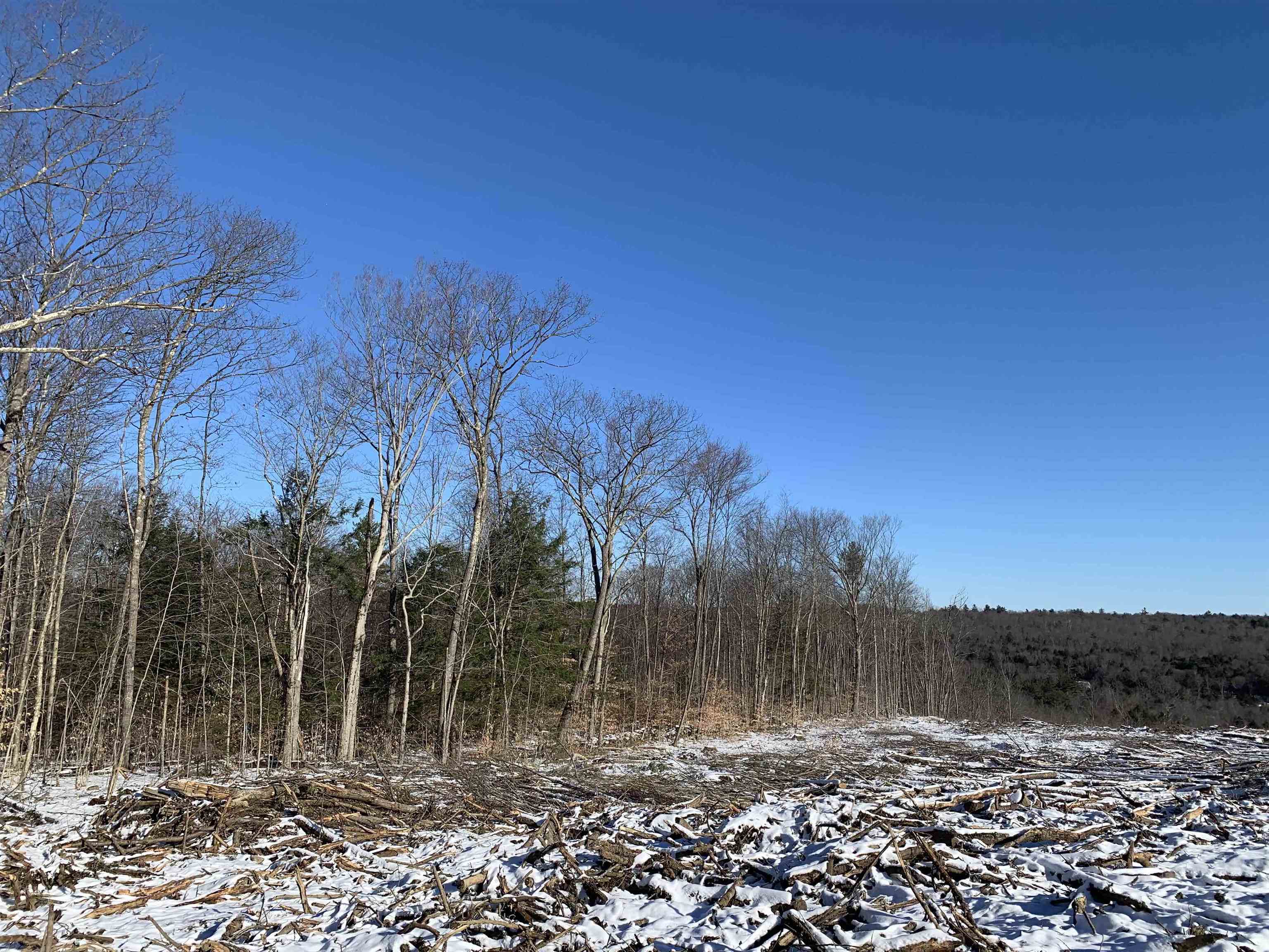 0 Tully Brook Road Richmond, NH 03470 - Photo 19 of 36