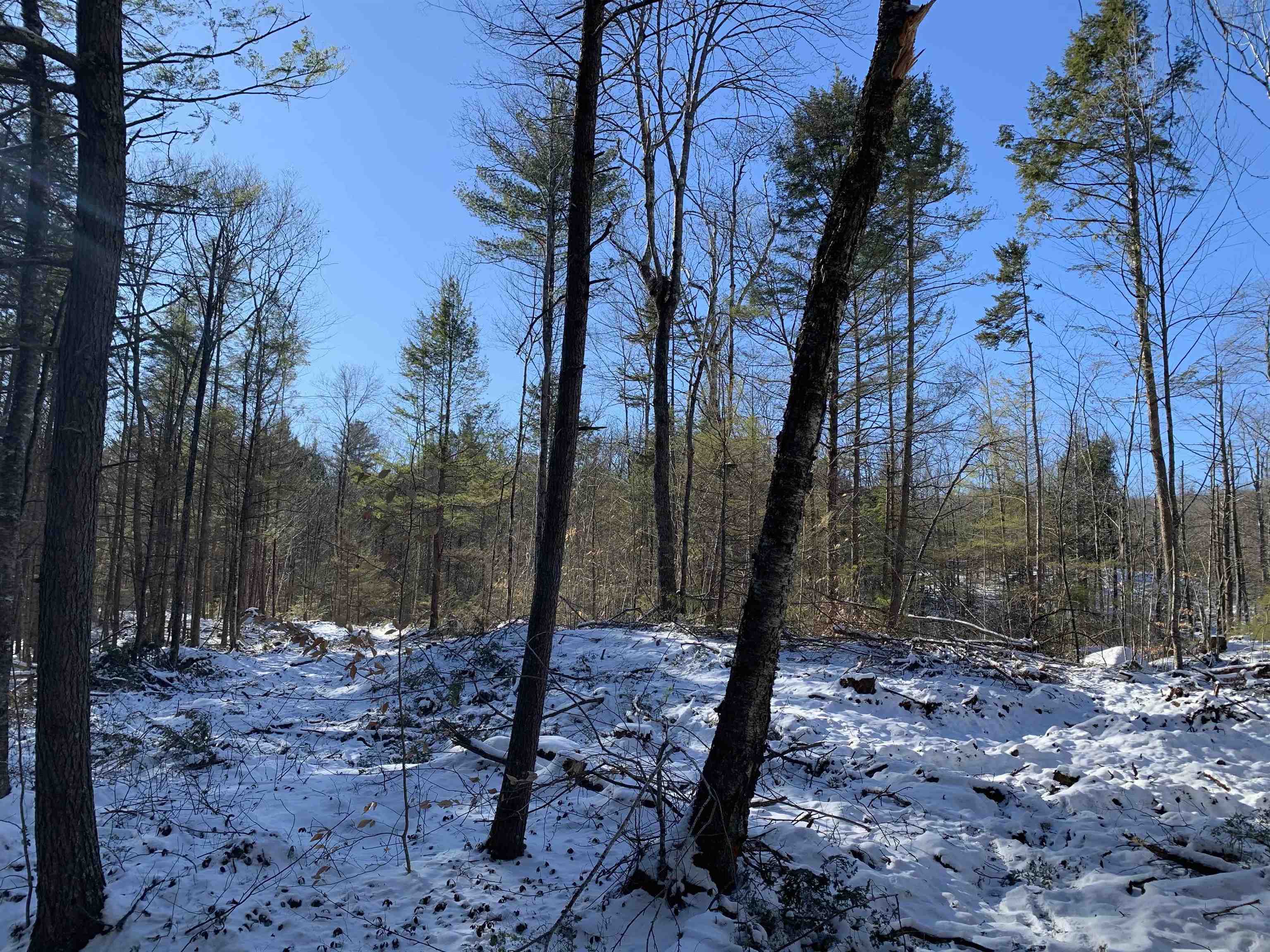 0 Tully Brook Road Richmond, NH 03470 - Photo 20 of 36