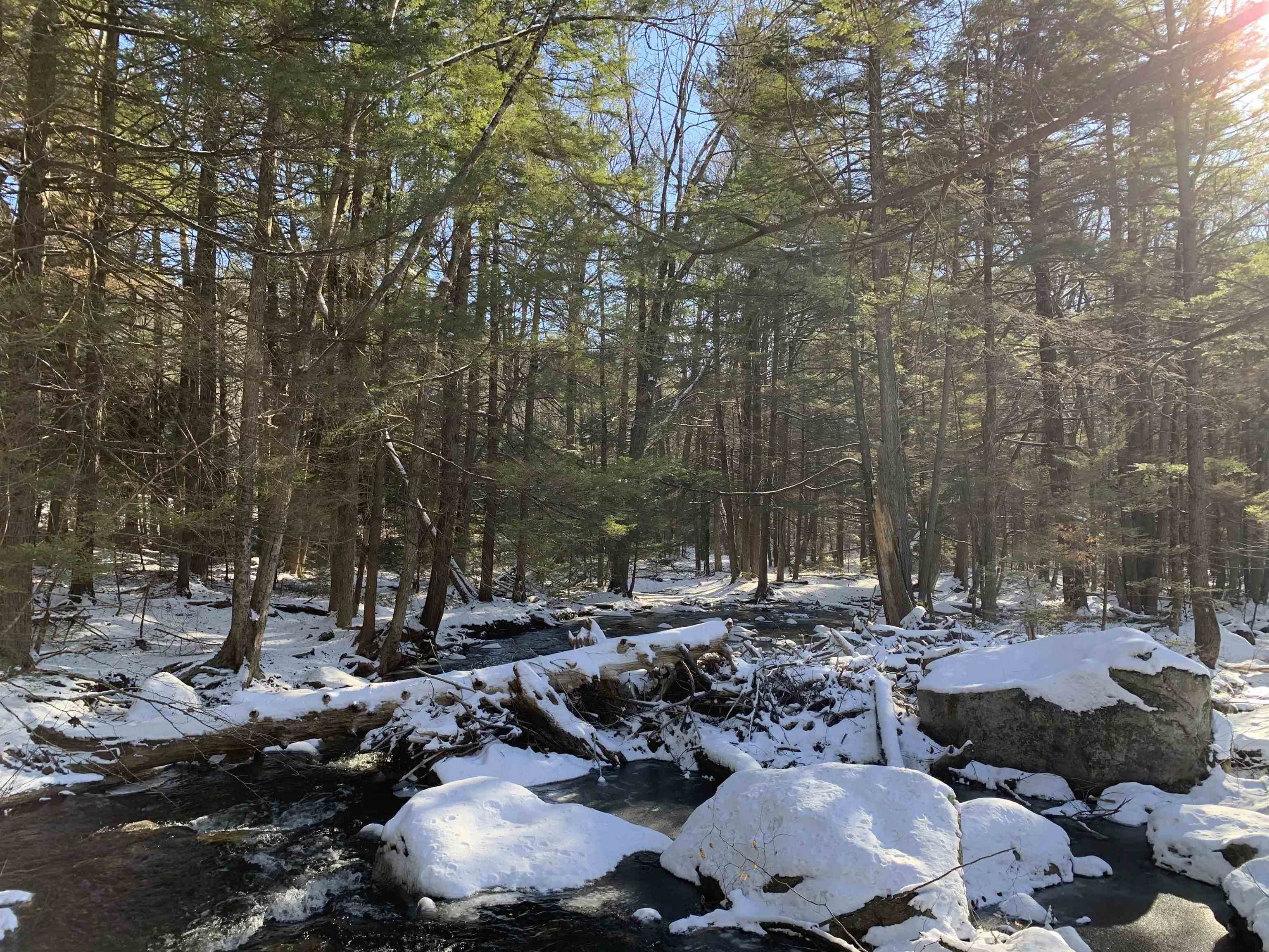 0 Tully Brook Road Richmond, NH 03470 - Photo 21 of 36