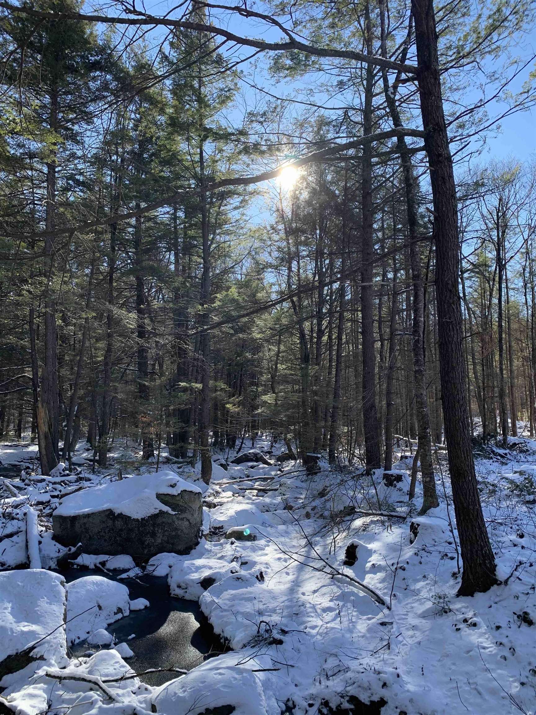 0 Tully Brook Road Richmond, NH 03470 - Photo 23 of 36
