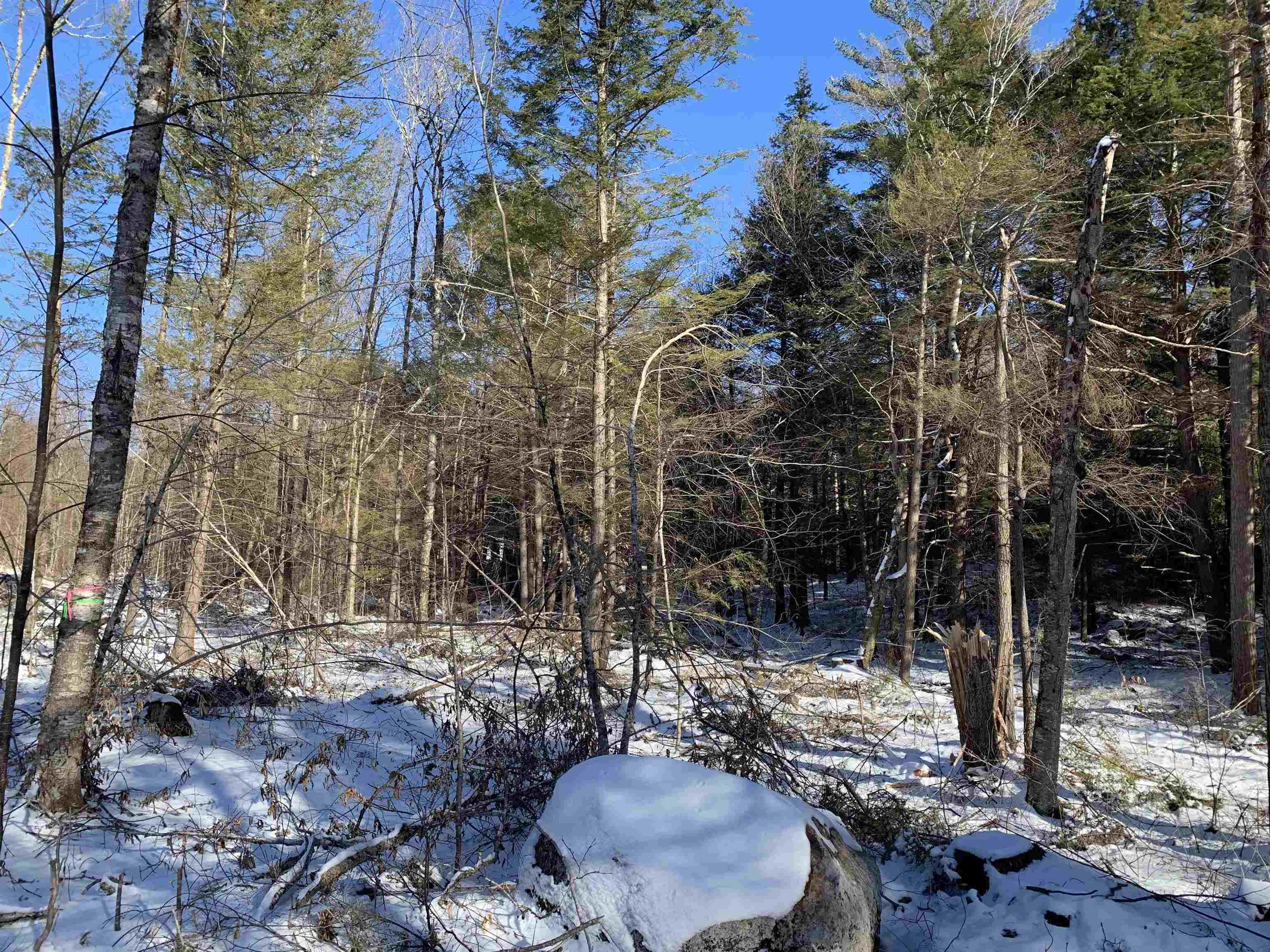 0 Tully Brook Road Richmond, NH 03470 - Photo 24 of 36