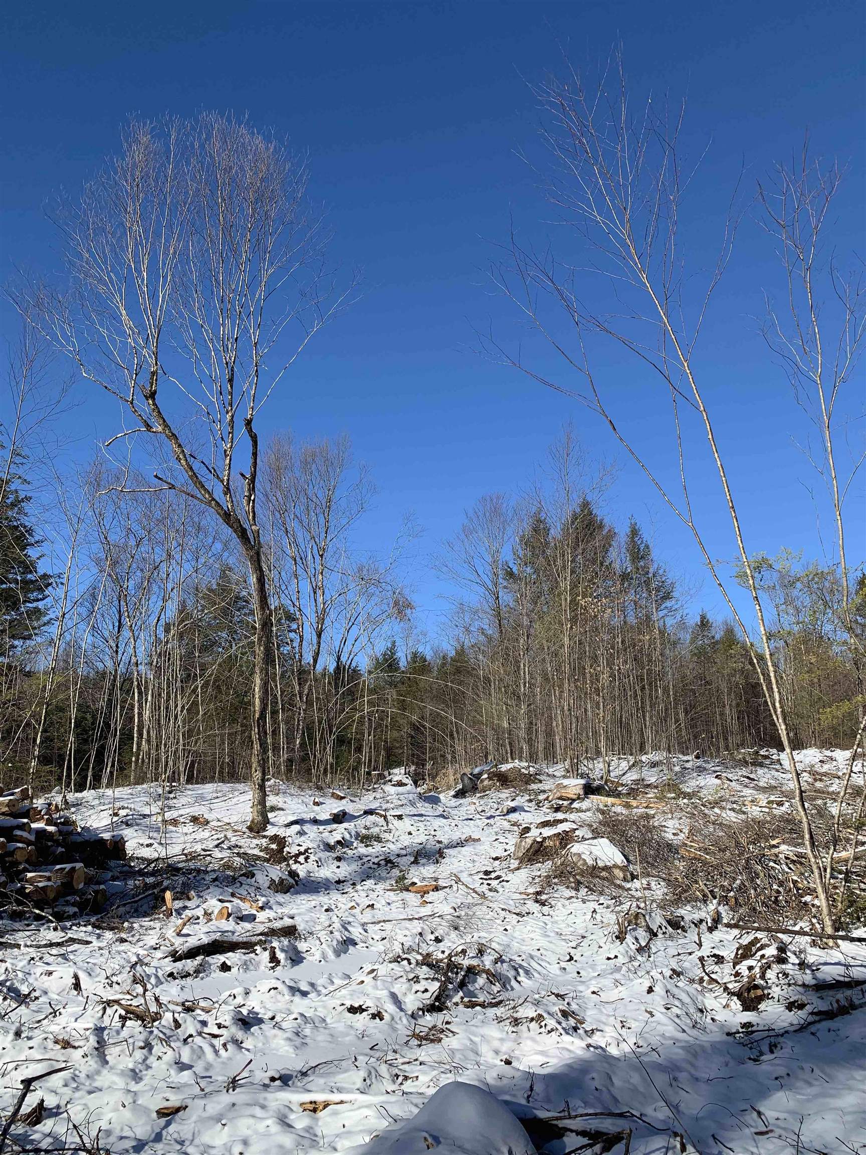 0 Tully Brook Road Richmond, NH 03470 - Photo 25 of 36