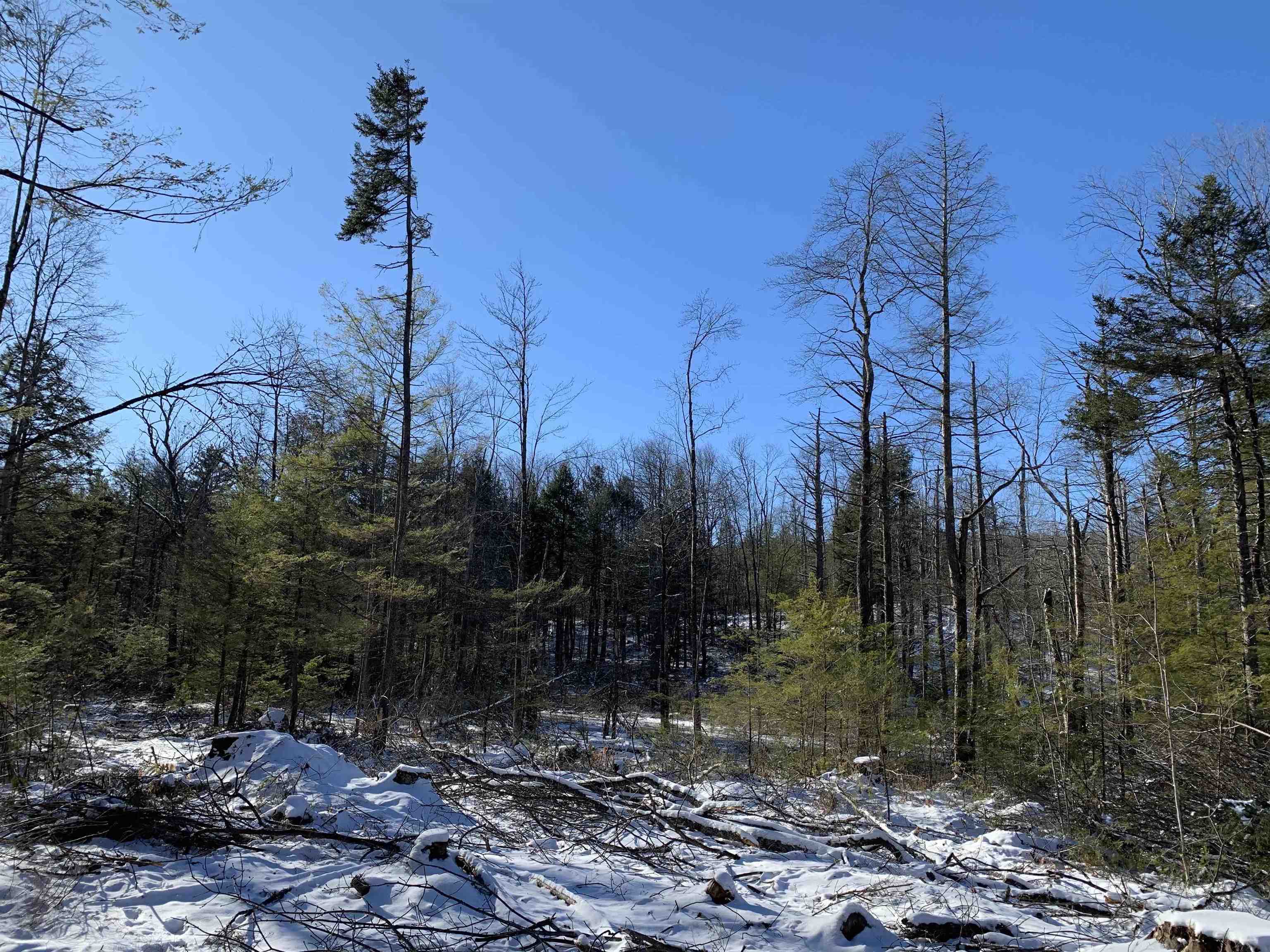 0 Tully Brook Road Richmond, NH 03470 - Photo 26 of 36