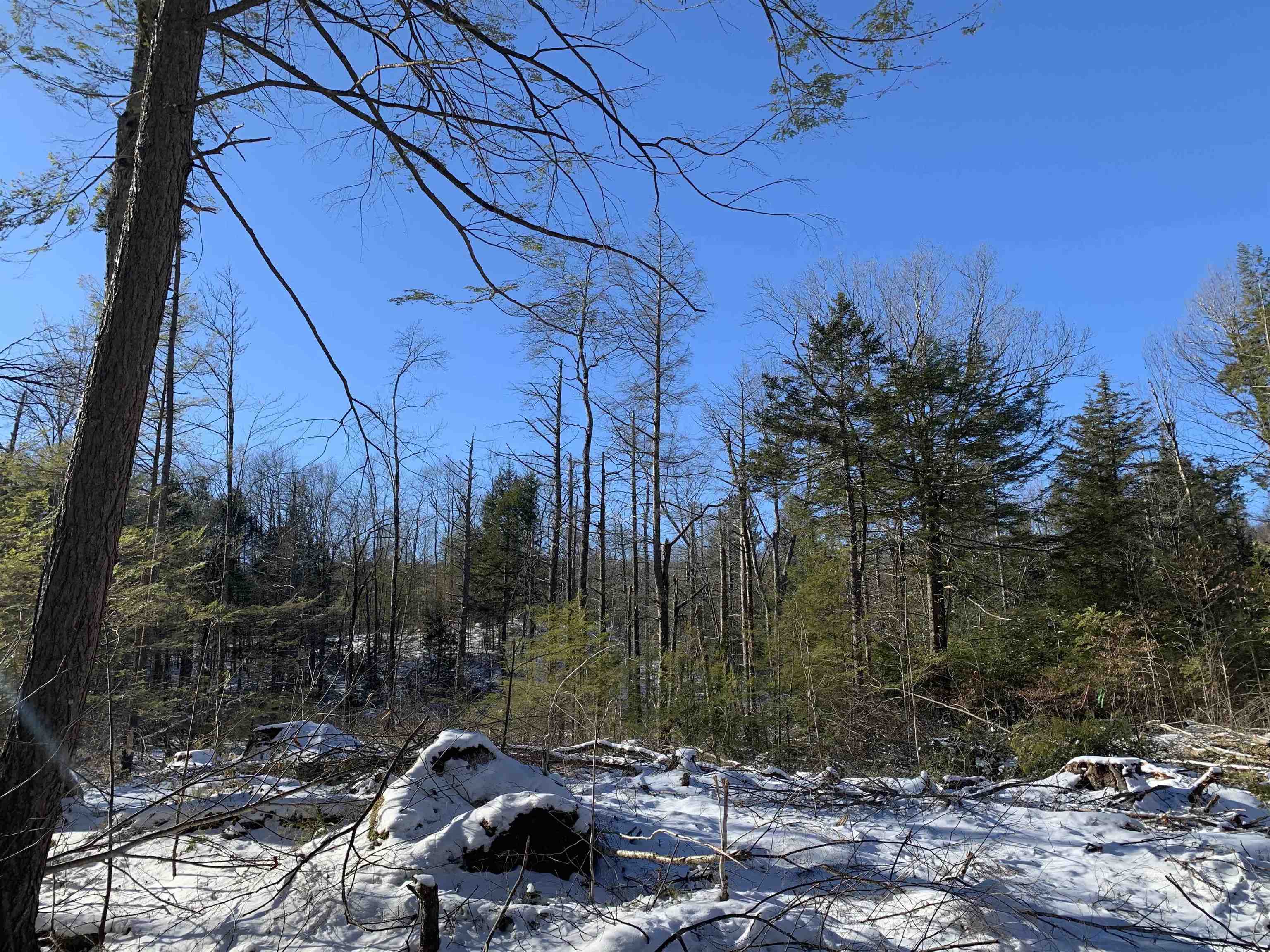 0 Tully Brook Road Richmond, NH 03470 - Photo 28 of 36