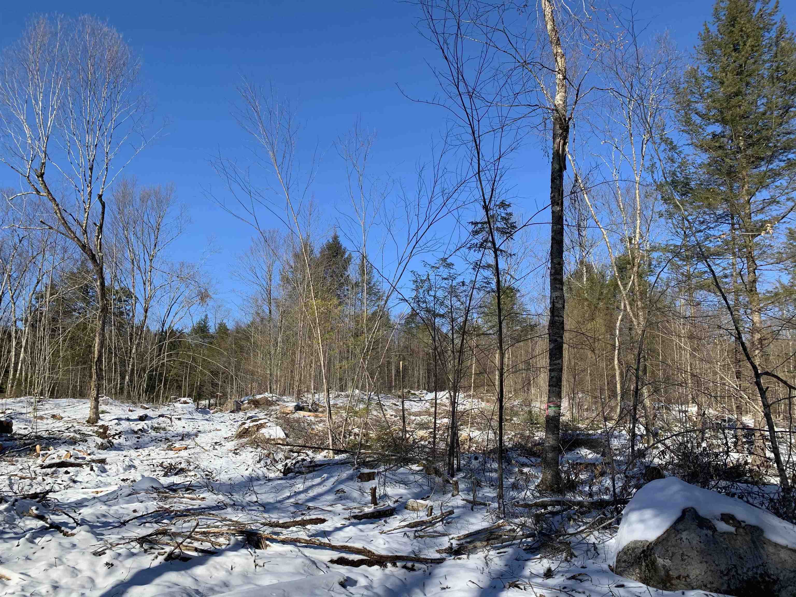 0 Tully Brook Road Richmond, NH 03470 - Photo 29 of 36
