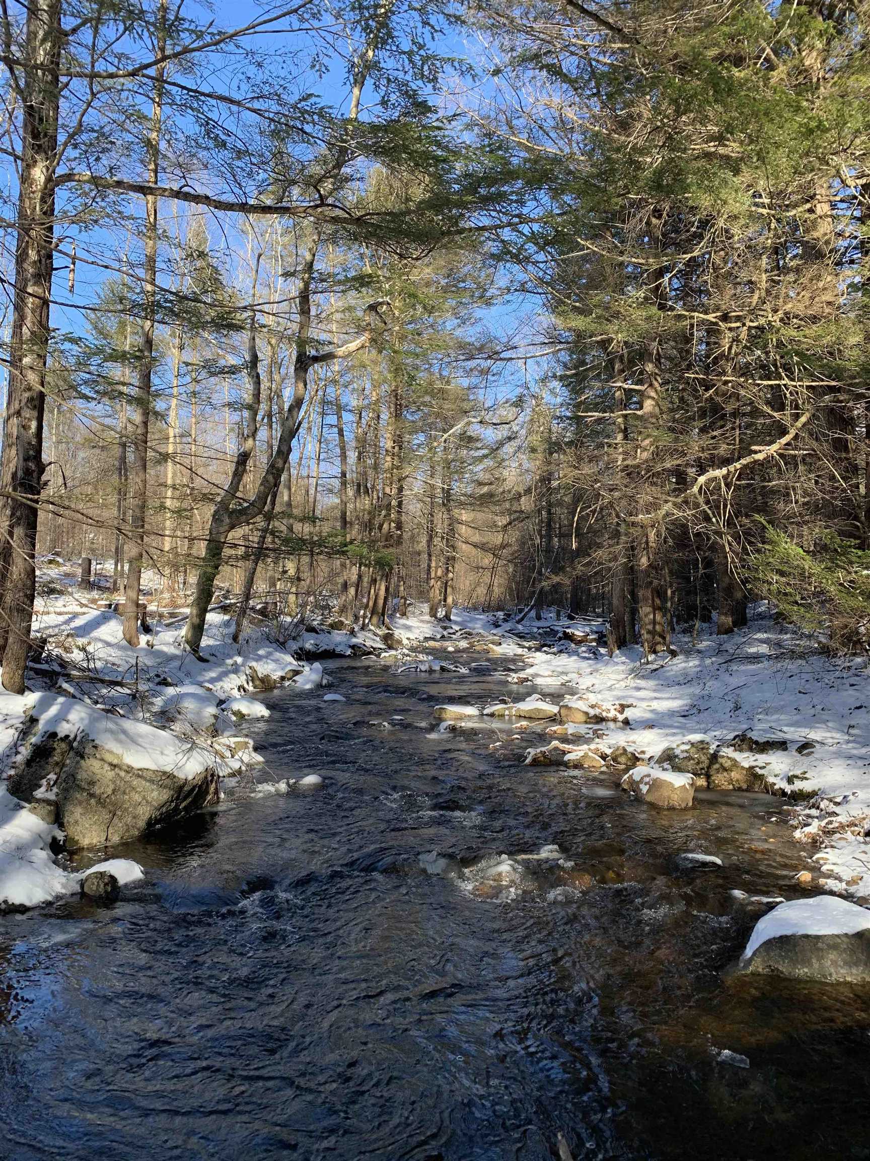 0 Tully Brook Road Richmond, NH 03470 - Photo 30 of 36