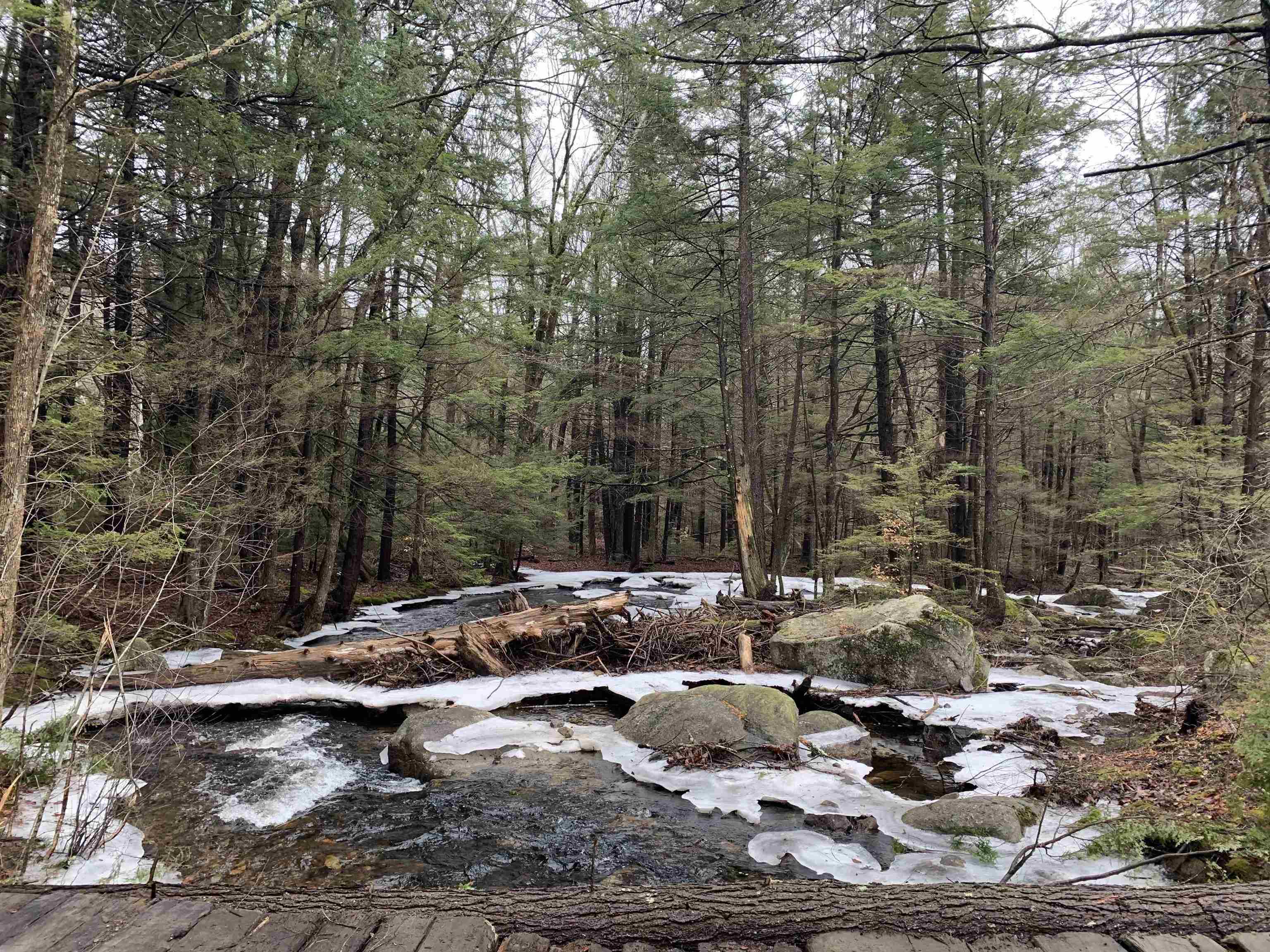 0 Tully Brook Road Richmond, NH 03470 - Photo 3 of 36