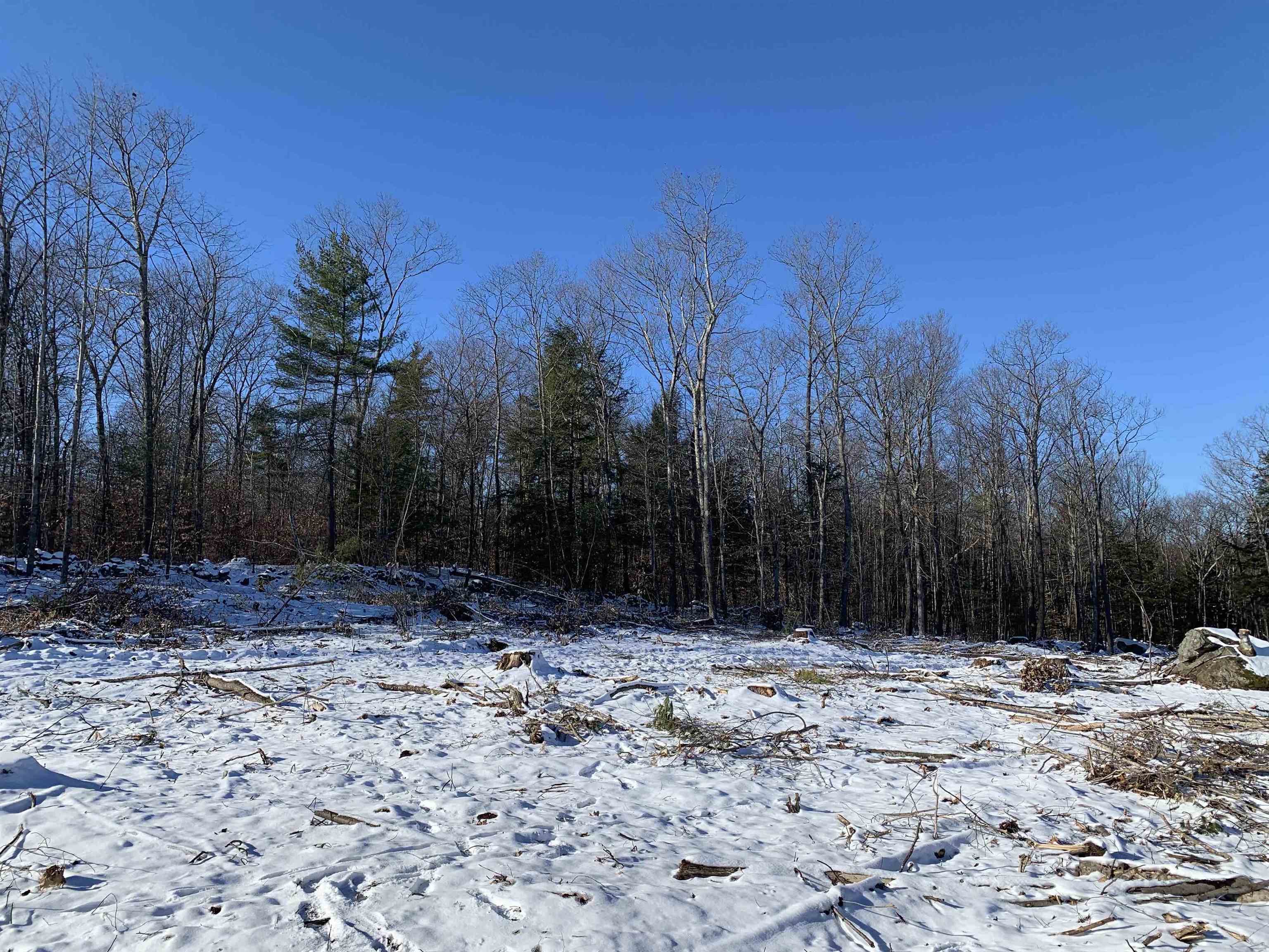 0 Tully Brook Road Richmond, NH 03470 - Photo 9 of 36