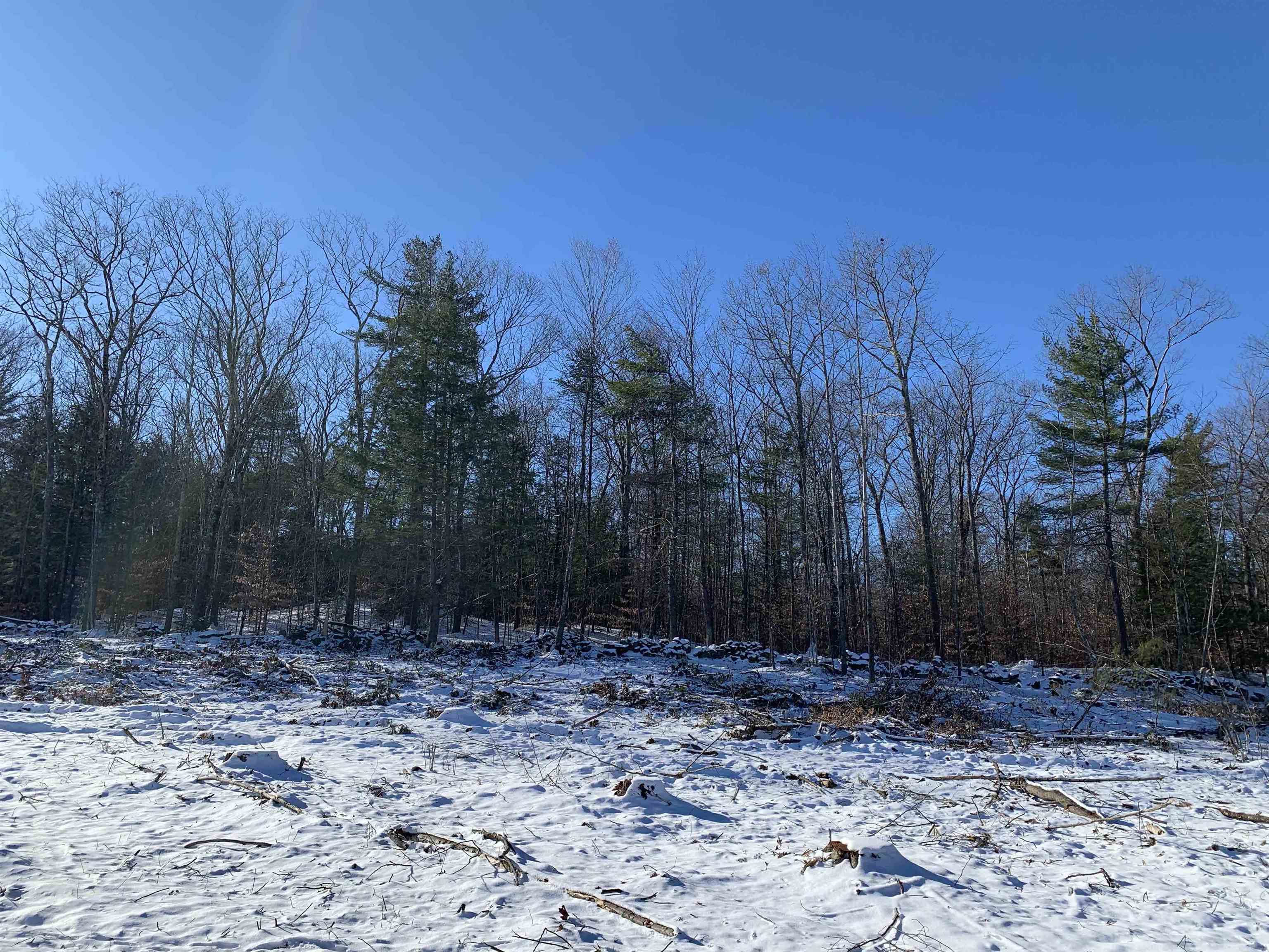 0 Tully Brook Road Richmond, NH 03470 - Photo 10 of 36