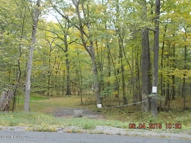 Lot 22 Sec B Milford Road Bushkill, PA 18324 - Photo 2 of 5