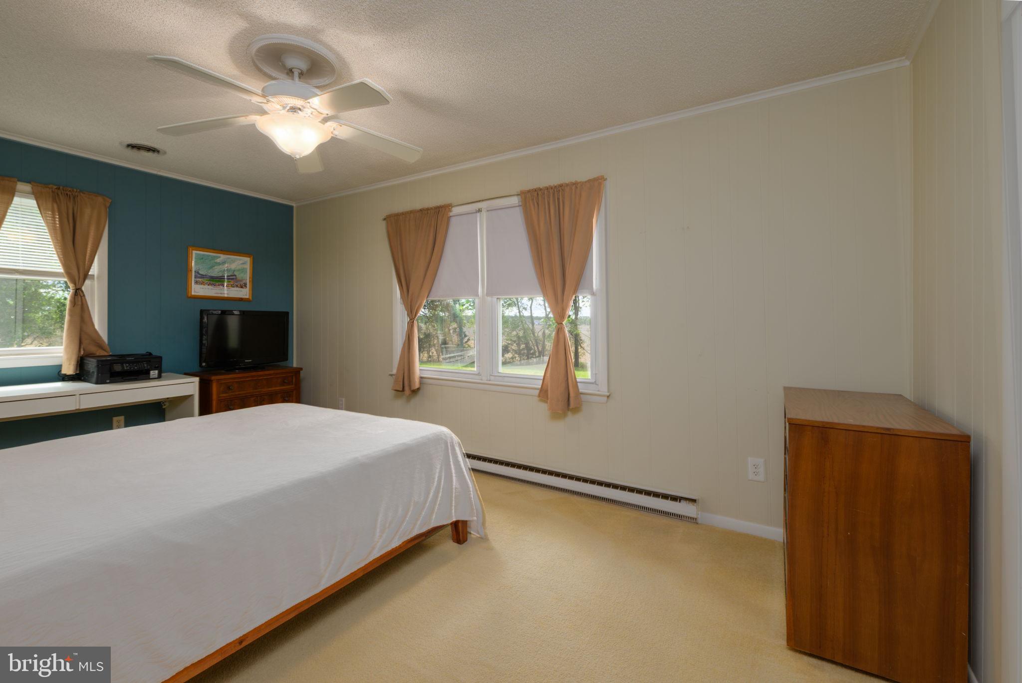 32517 Molly Field Road Dagsboro, DE 19939 - Photo 21 of 25 Serene bedroom with natural light.