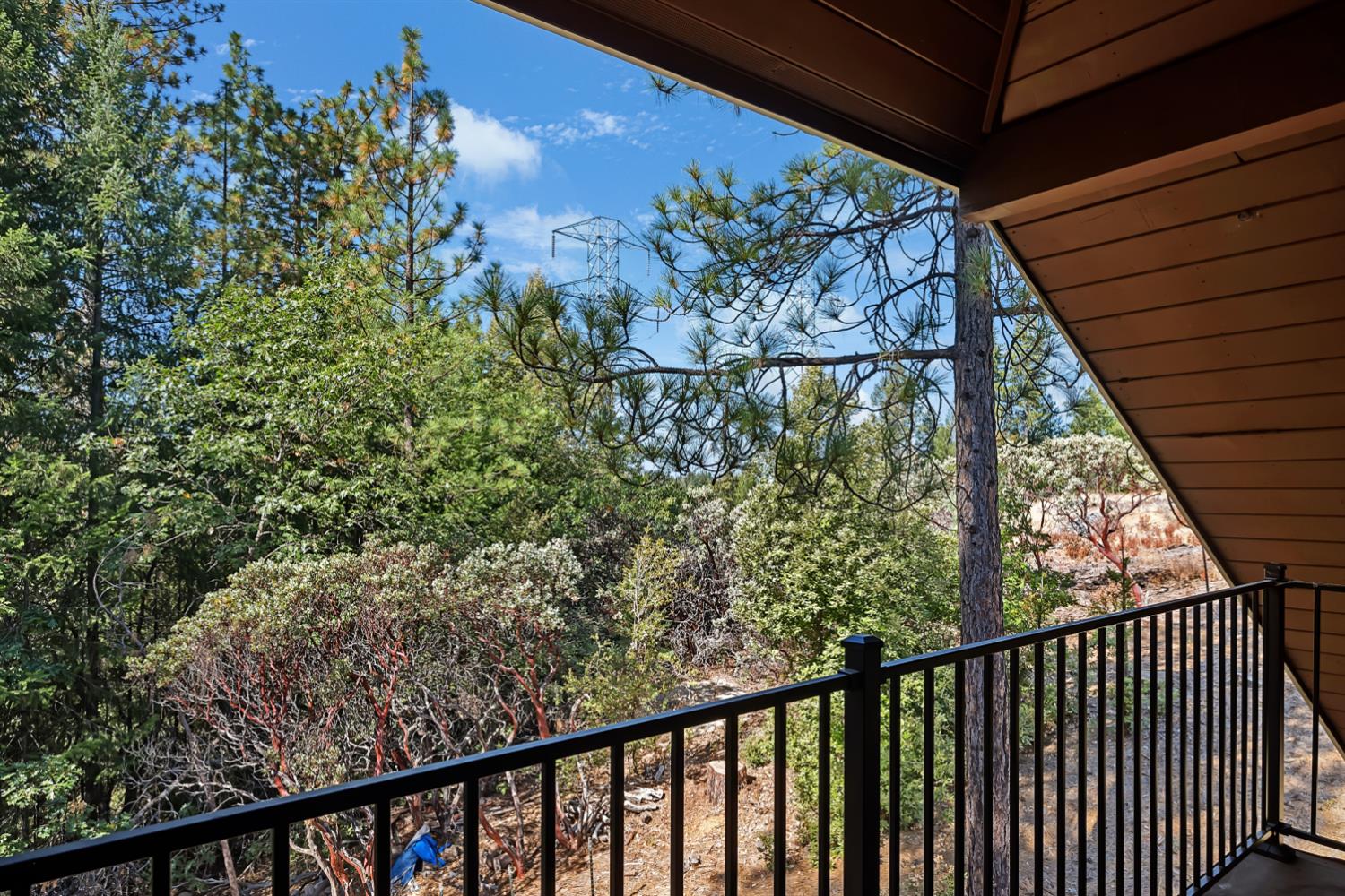 2160 Nelson Road Camino, CA 95709 - Photo 43 of 69