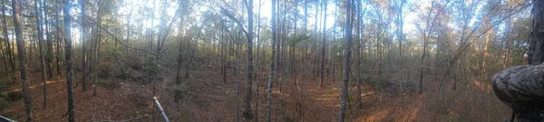 $74,900 | 3979 Campground Road, Wrens, GA 30833