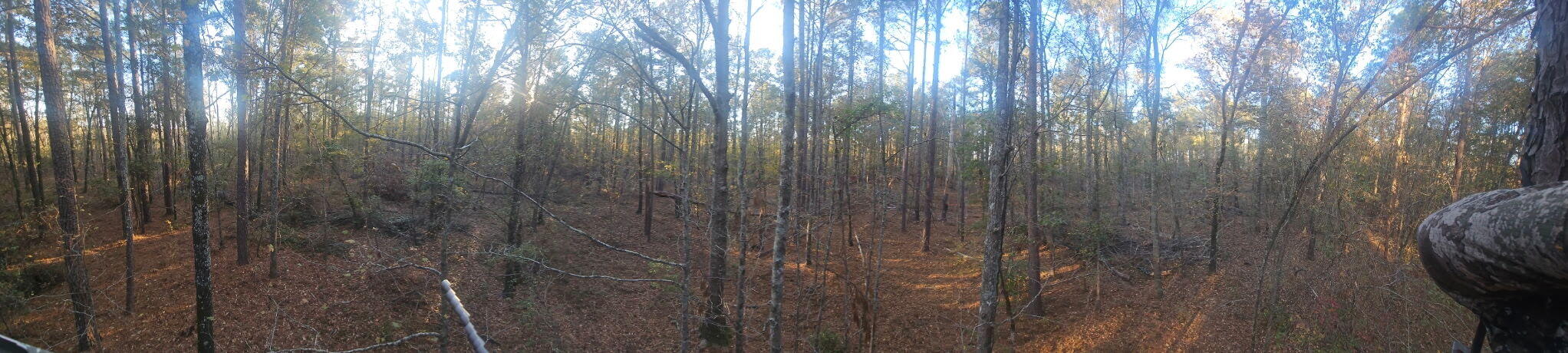 3979 Campground Road Wrens, GA 30833 - Photo 6 of 6 Perfect for hunting