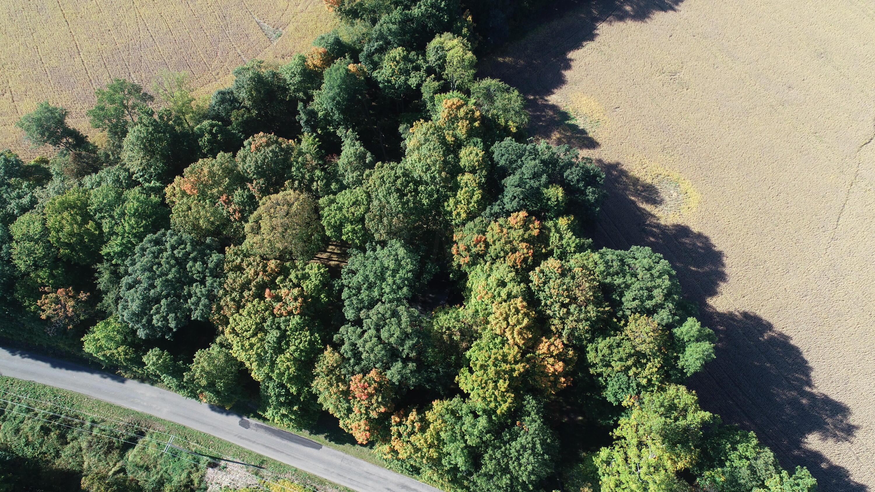 14180 Hyatt Road Mount Vernon, OH 43050 - Photo 19 of 28 9