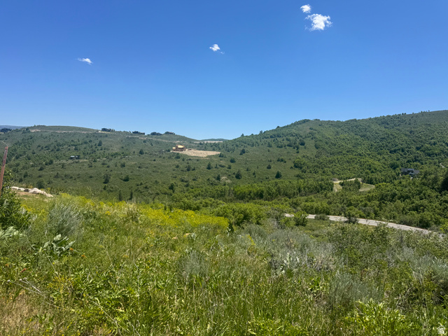 6000 Old Snow Basin Road Huntsville, UT 84317 - Photo 11 of 14