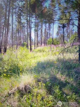 a view of yard with swimming pool