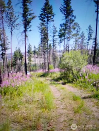 a view of a garden with flowers