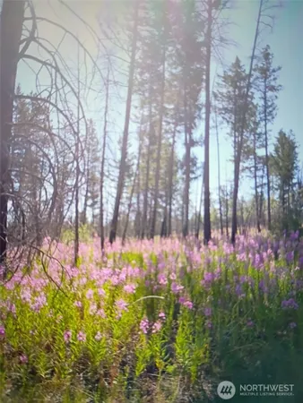 a view of yard with flowers and tree