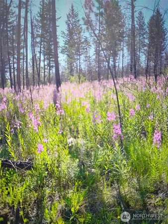 a view of flowers in back yard