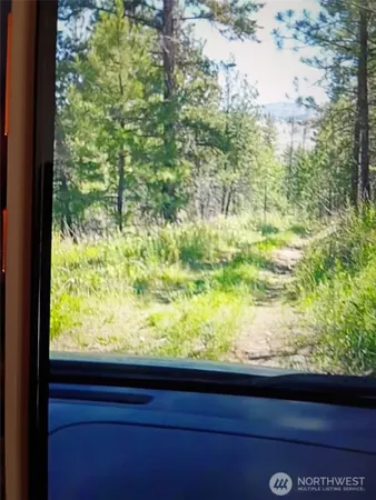 a view of a garden from a window