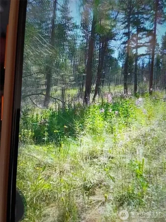 a view of backyard with green space