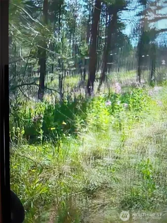 a backyard of a house with lots of green space and fountain in the back