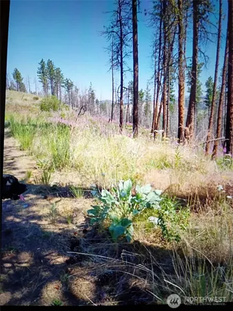 a view of a yard with lots of green space