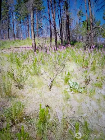 a backyard of a house