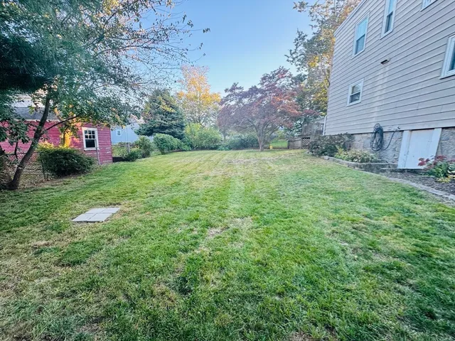 a view of a backyard with plants and a bench