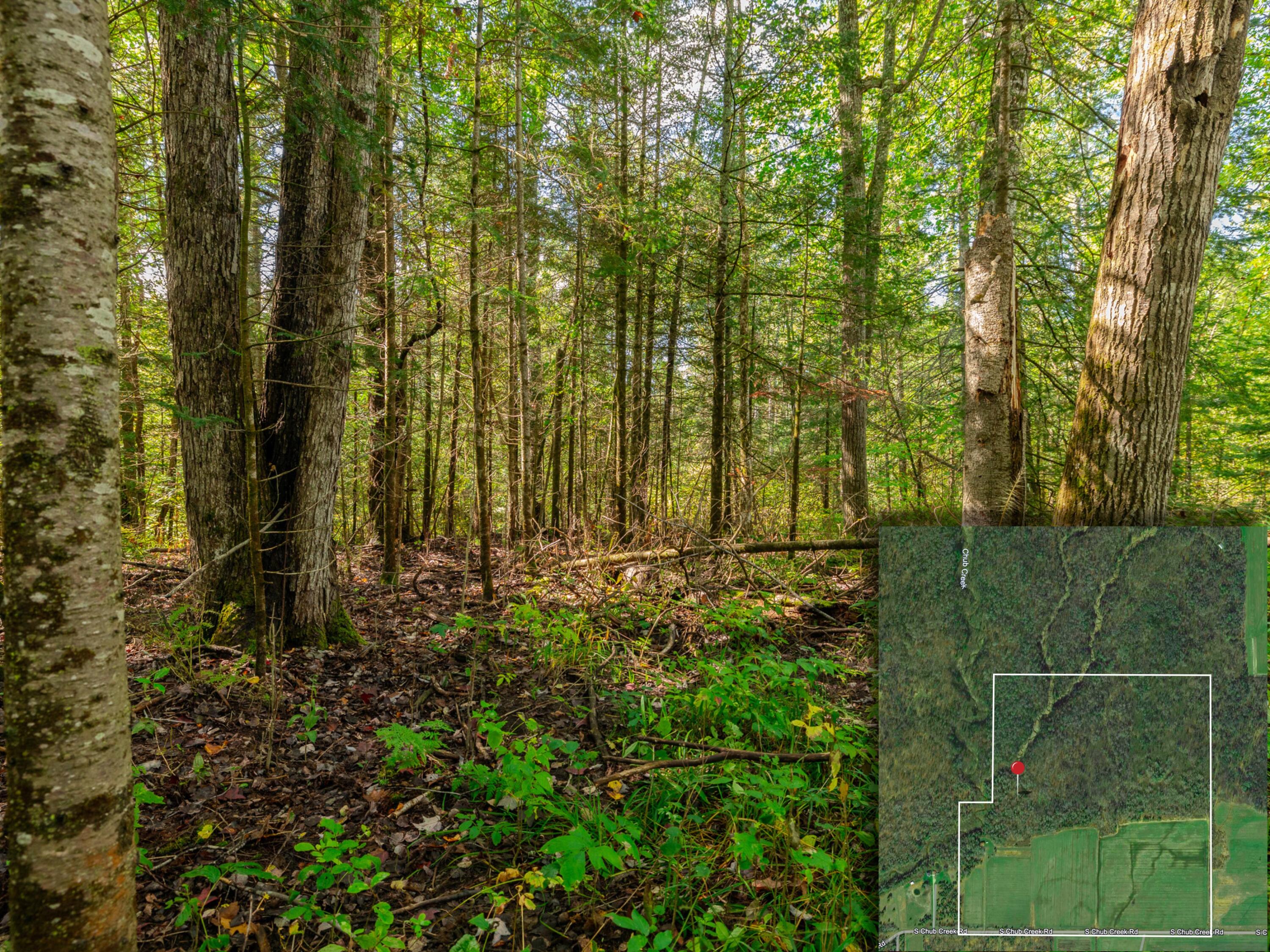 22758 South Chub Creek Road, Unit LOT 2 Rudyard, MI 49780 - Photo 3 of 7 15