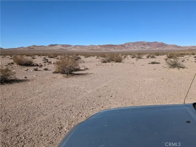 a view of a dry yard