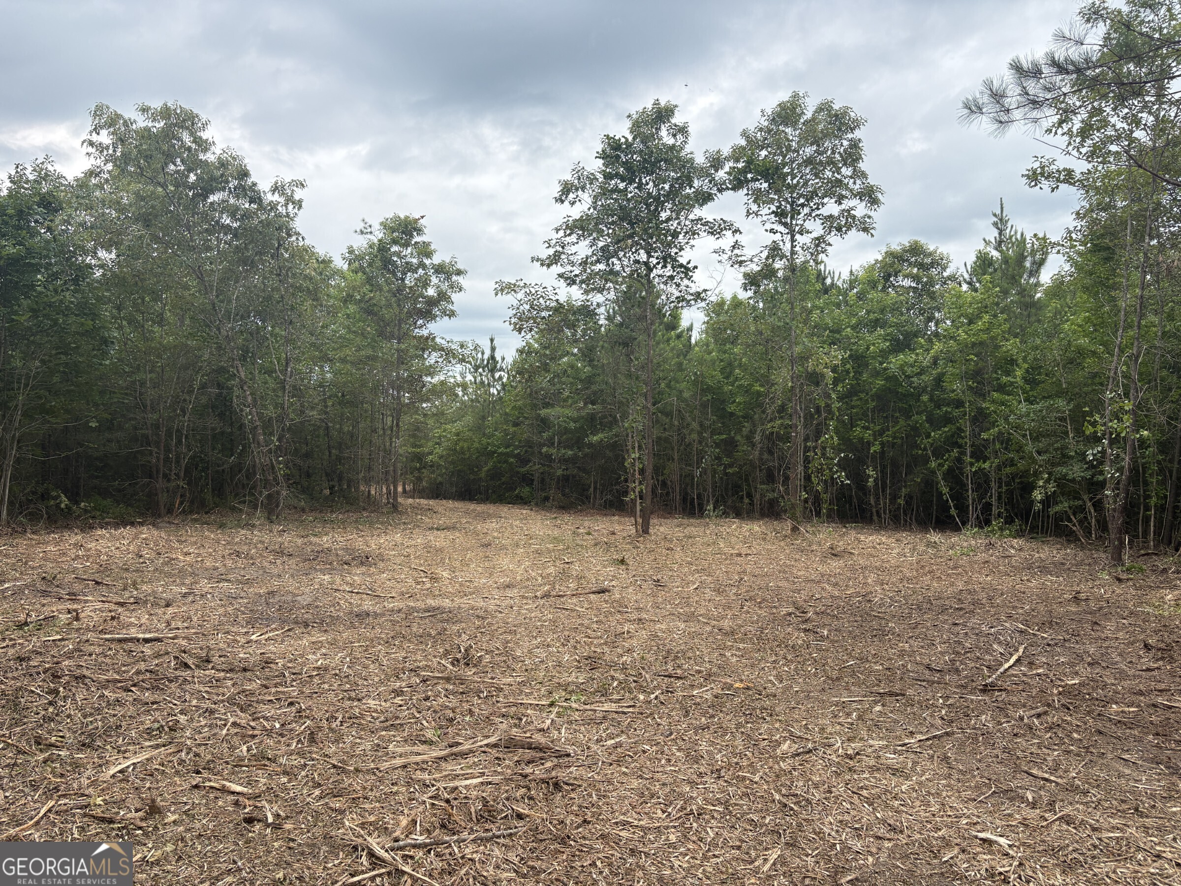 L4 Prosser Road Sandersville, GA 31082 - Photo 1 of 10