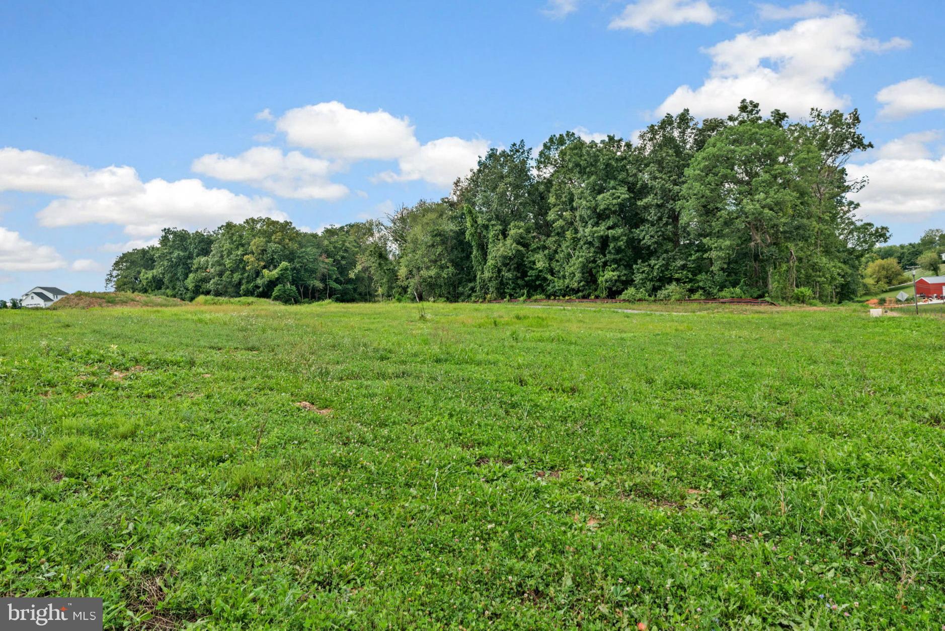 2 Hoffman Mill Road, Unit REGINA Hampstead, MD 21074 - Photo 66 of 69 a view of a big yard with plants and large trees