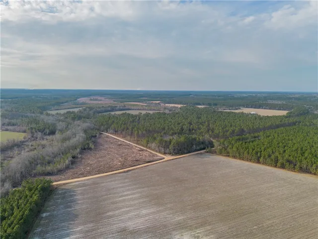 $987,850 | 3 Reddish Road, Screven, GA 31560