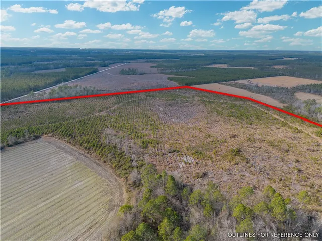 $987,850 | 3 Reddish Road, Screven, GA 31560