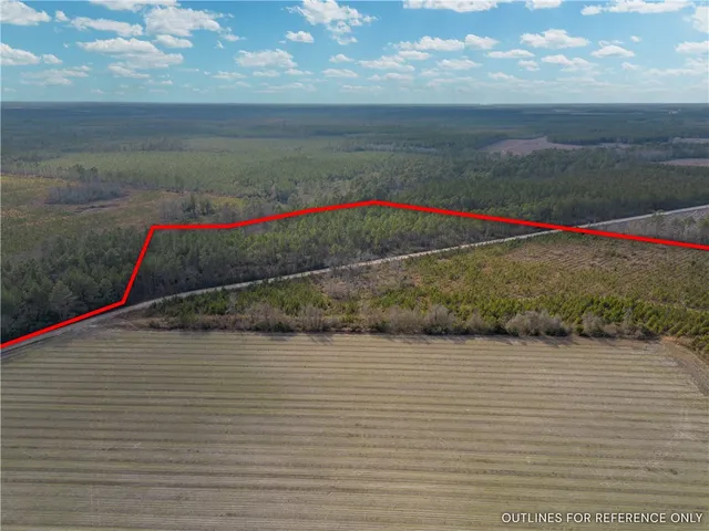 $987,850 | 3 Reddish Road, Screven, GA 31560