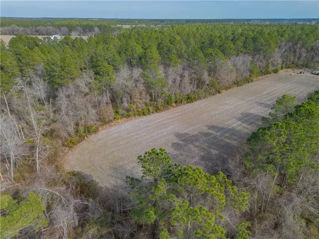 $987,850 | 3 Reddish Road, Screven, GA 31560