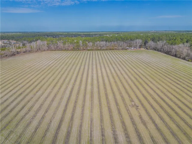 $987,850 | 3 Reddish Road, Screven, GA 31560