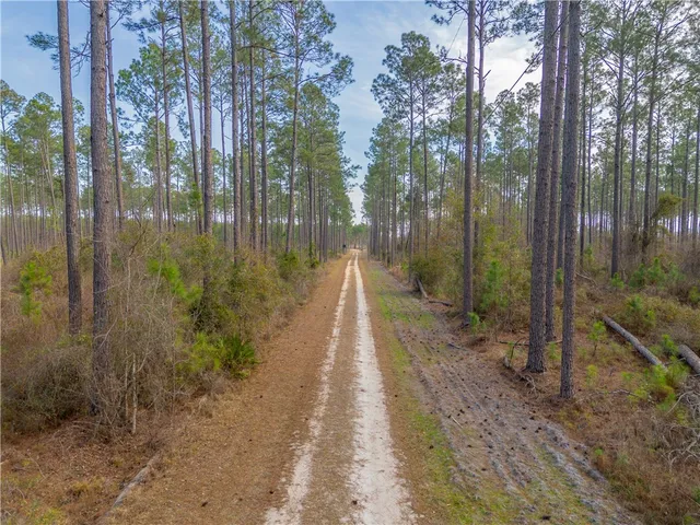 $987,850 | 3 Reddish Road, Screven, GA 31560