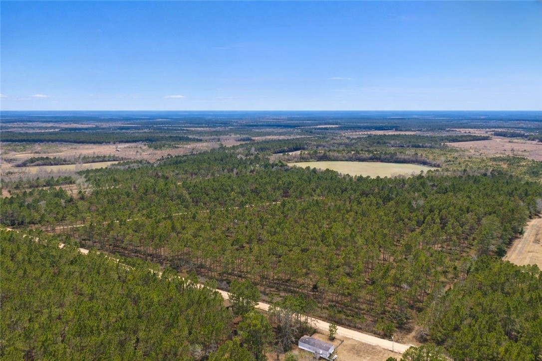 3 Reddish Road Screven, GA 31560 - Photo 2 of 9